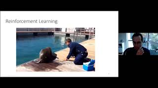 Sergey Levine - Planning with Reinforcement Learning – Invited talk – PRL @ ICAPS 2022