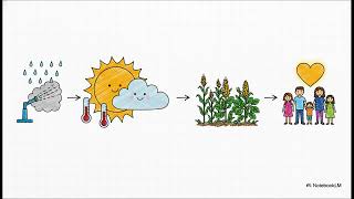 Case Study - Irrigation - Micro - Externalities