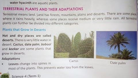 Class 4 Adaptation How Plants Survive important for Science Olympiad part 2