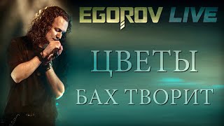 EGOROV (Евгений Егоров) - Бах творит (