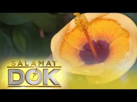 Video: Paano Bawasan ang Pamamaga: Makakatulong ba ang Herbal Tea?