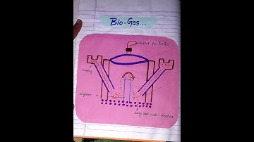 B.Ed Lesson Plan Physical Science | Skill Of Reinforcement | Micro Lesson | B.Ed Practical File