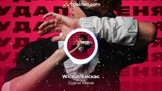 Wicsur/Бискас - Удали Меня  (ПРЕМЬЕРА 2023)