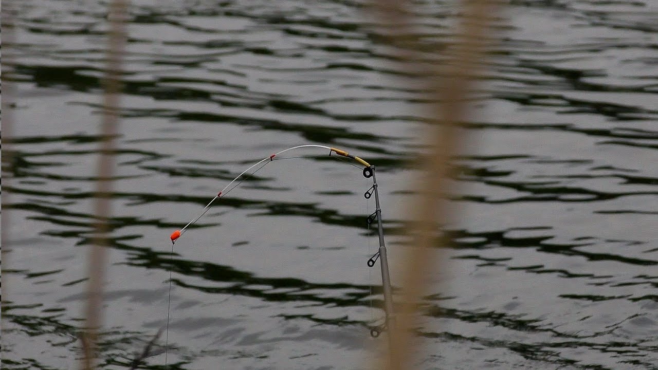 РЫБАЛКА НА БОКОВОЙ КИВОК В АПРЕЛЕ. ЛОВЛЯ КАРАСЯ.
