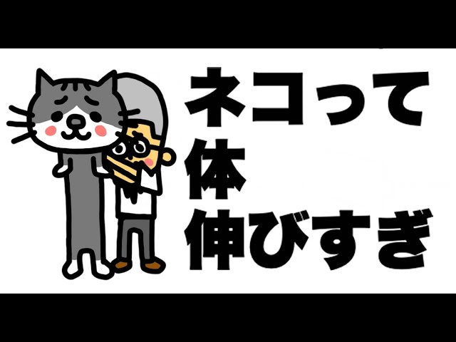ネコあるあるwwwwww　#shorts　「アニメ・コント・ネタ・猫」