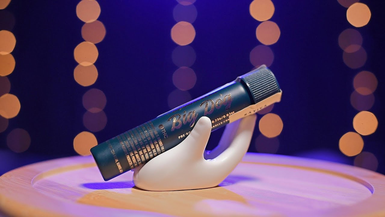 Dogwalkers Big Dog prerolls - The short