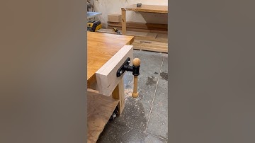 Work Bench Vise