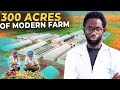 He built a farm thats making young people rich in nigeria