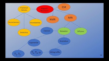 Richard Magin: Fractional Calculus Models of Magnetic Resonance Phenomena: Relaxation and Diffusion