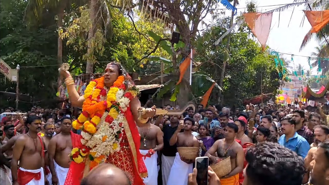 കലശം എഴന്നള്ളത്ത്,മഞ്ഞ താലപ്പൊലി കളരിക്കൽ കൊടുങ്ങല്ലൂർ അമ്മ ഭദ്രകാളി ഭഗവതി ക്ഷേത്രം കല്ലായി