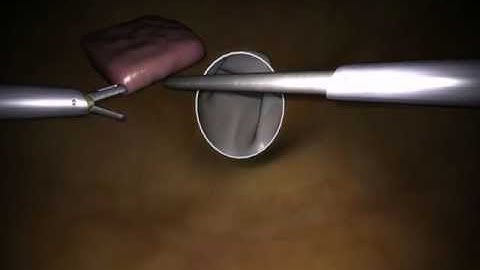 LapSim Basic Skills: Lifting and Grasping