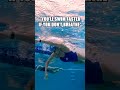 Swimming Advice NO ONE Should Listen To