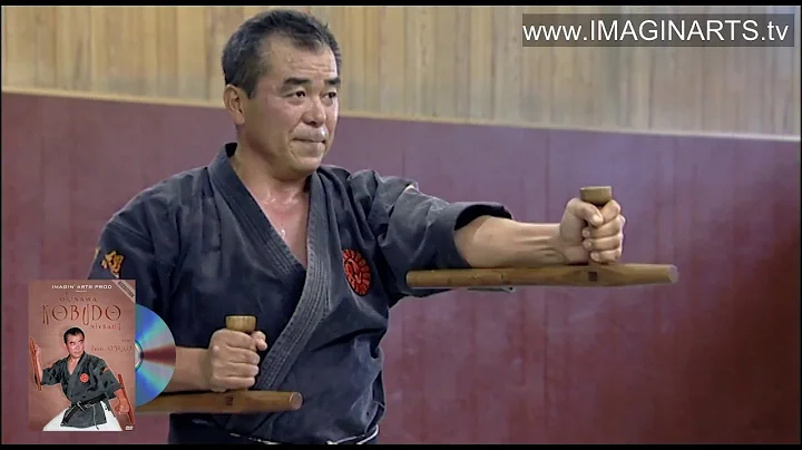 Tonfa - Okinawa Kobudo avec sensei Oshiro