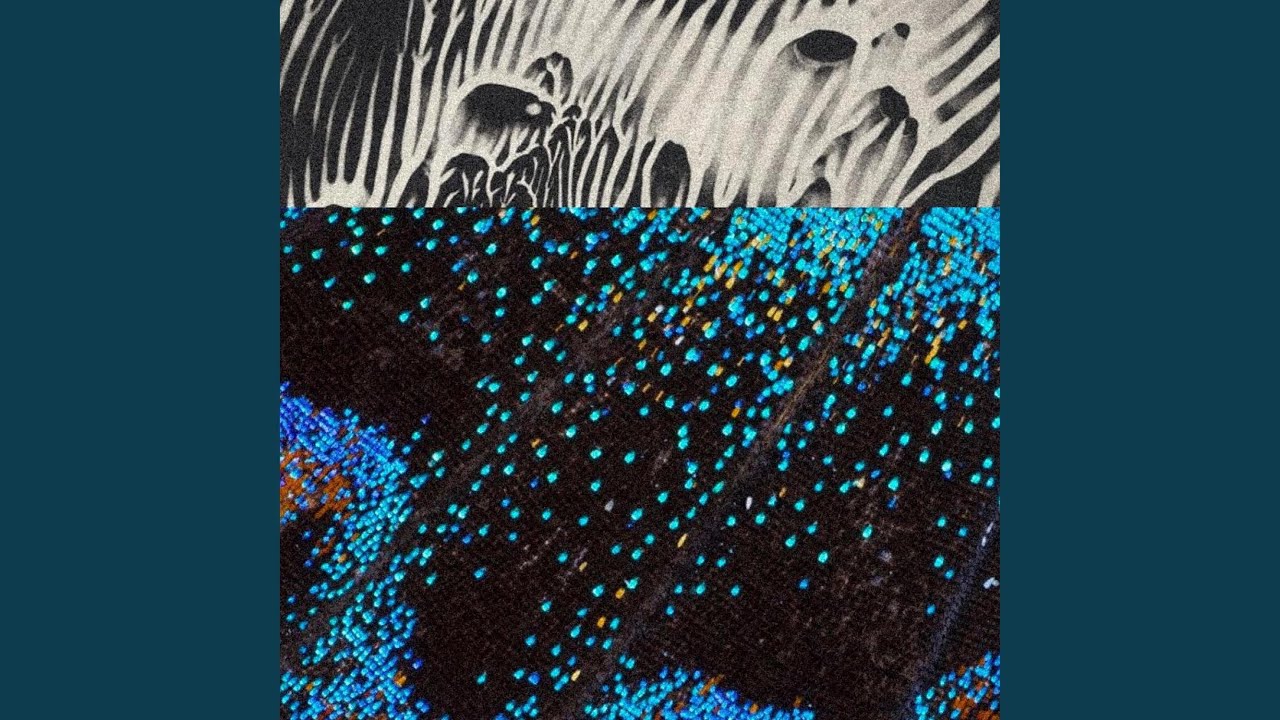 Watch Downer on YouTube Watch Downer on YouTube