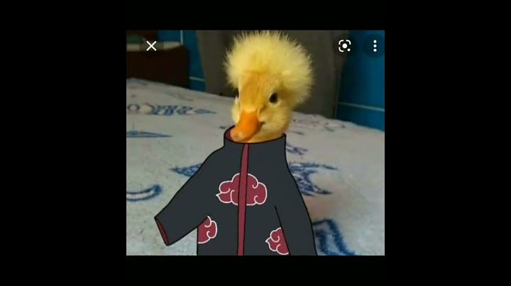 Pato maloqueiro🦆