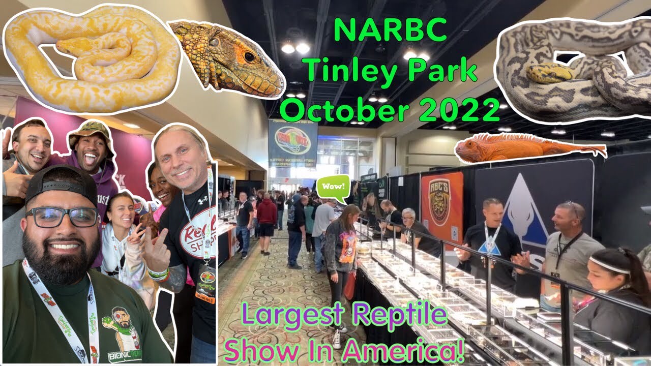 Largest Reptile Show in America! NARBC Tinley Park Reptile Show