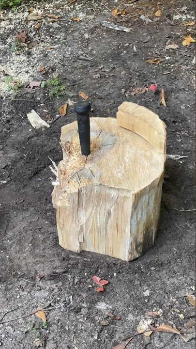 Freeing a stuck Bull Pin #shorts #short #wood #fyp