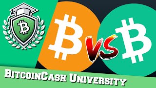 What is Bitcoin Cash?