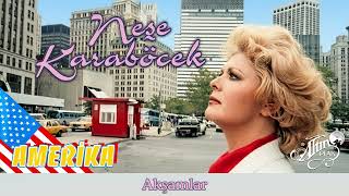 Neşe Karaböcek - Akşamlar