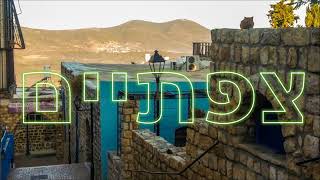 צפת - ניגוני חסידות קרלין סטולין