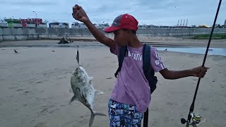 SURF FISHING FOR TREVALLY - GT | Stocking Up The Freezer | Century Weapon Jr - Shimano Twin Power XD