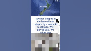 Slapped in the face with an octopus #seal #kayaker #octopus #viral #ytshorts #youtube #youtubeshorts