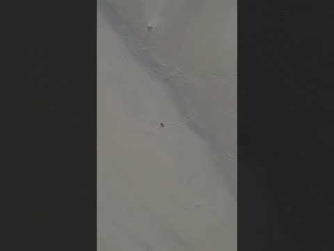 ماذا لو ذهبنا بعيدا لنلاحق احلامنا