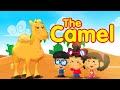 The Camel - Toyor Baby English