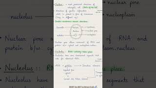 Eukaryotic cell structure #biology #cell #quicklearning #conceptclasses #competitiveexams #science