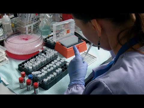 Video: Introducerea Radiomicii într-un Cadru Multi-omic Pentru O Caracterizare Completă A Genotipului-fenotipului Bolilor Oncologice