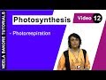 Photosynthesis - Photorespiration