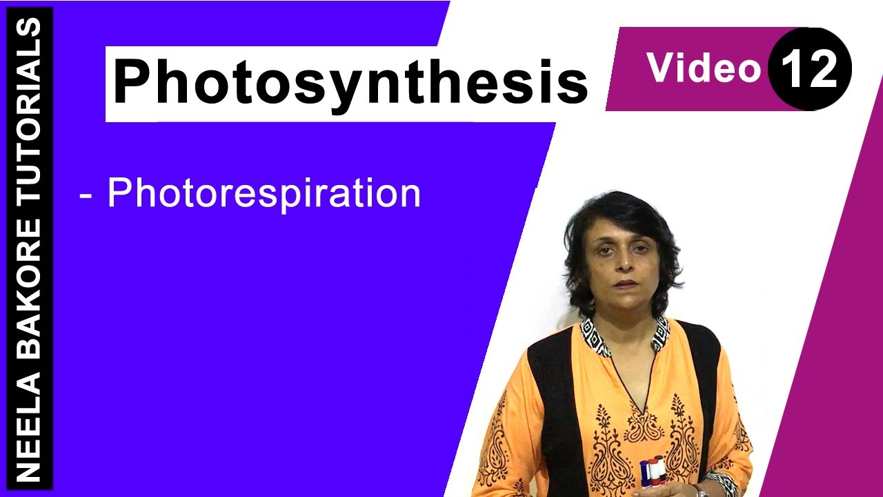 Photosynthesis - Photorespiration aiims result 2019