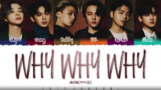Video thumbnail of "iKON – 'WHY WHY WHY' (왜왜왜) Lyrics [Color Coded_Han_Rom_Eng]"