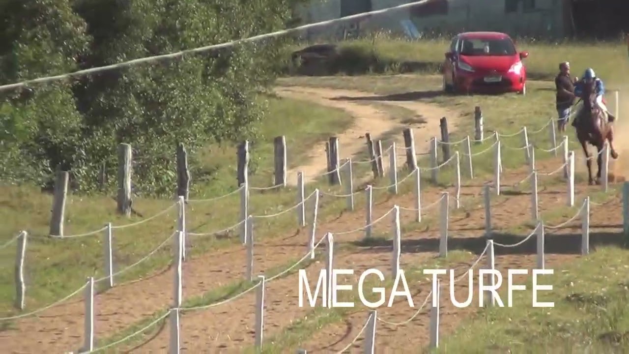 1ºPáreo SMURF X BANQUETE