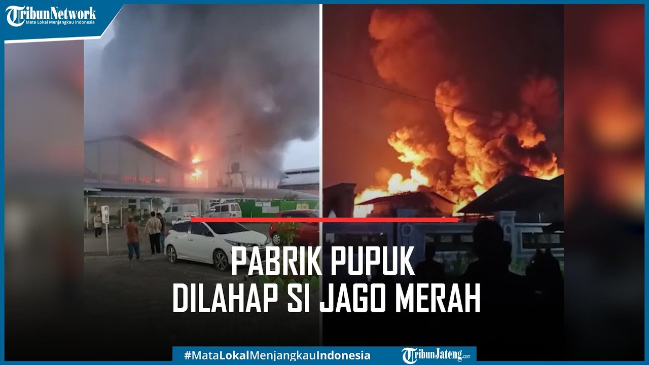 Kebakaran Pabrik Pupuk di Mranggen Demak, Pasien RS Pelita Anugerah Dievakuasi