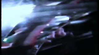 Havana Black "Sunflower" 1993