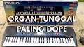 Organ Tunggal (arliamusic) from www.youtube.com