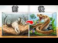 捨てられたヘビの家を変身させた