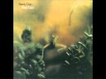 Steely dan   katy lied 1975 studio album 03 rose darling