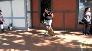 Public Access Test from Psychiatric Service Dog Partners