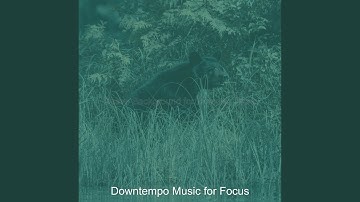 Pulsating Ambience for Complete Concentration