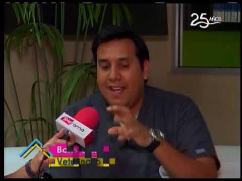 Mi perro muerde todo ¿Qué hago?