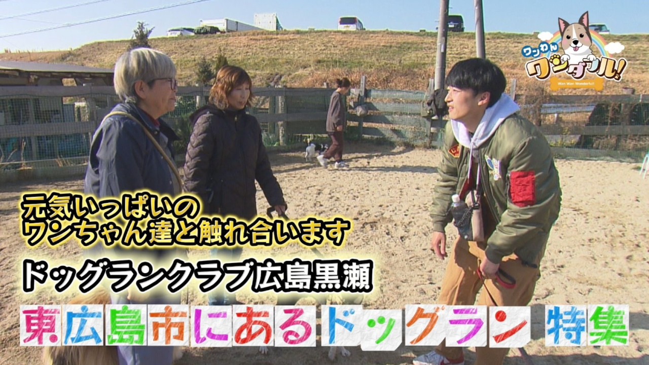 No. 226 Dog Run Club Hiroshima Kurose Featured dog runs in
