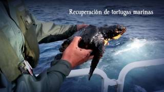 Centro De Recuperación De Fauna Silvestre Del Cabildo De Gran Canaria