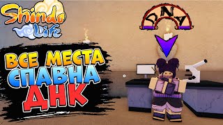 ШИНДО ЛАЙФ ВСЕ МЕСТА СПАВНА БОССОВ ДНК - КАК ПОЛУЧИТЬ РАСУ😱 SHINDO LIFE 2023