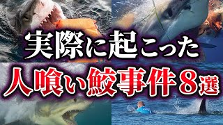 【ゆっくり解説】世界で実際に起きた人喰い鮫事件8選