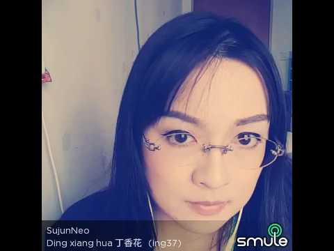 小时候听过，很喜欢的一首歌《丁香花》