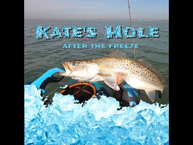 Kate's Hole Post Freeze 3-3-21 Wolf's Fishing Corpus Christi,TX 