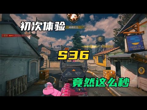 初次体验S36，竟然这么秒！【CODM茶颜哥哥】