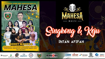 SINGKONG DAN KEJU - INTAN AFIFAH - MAHESA MUSIC